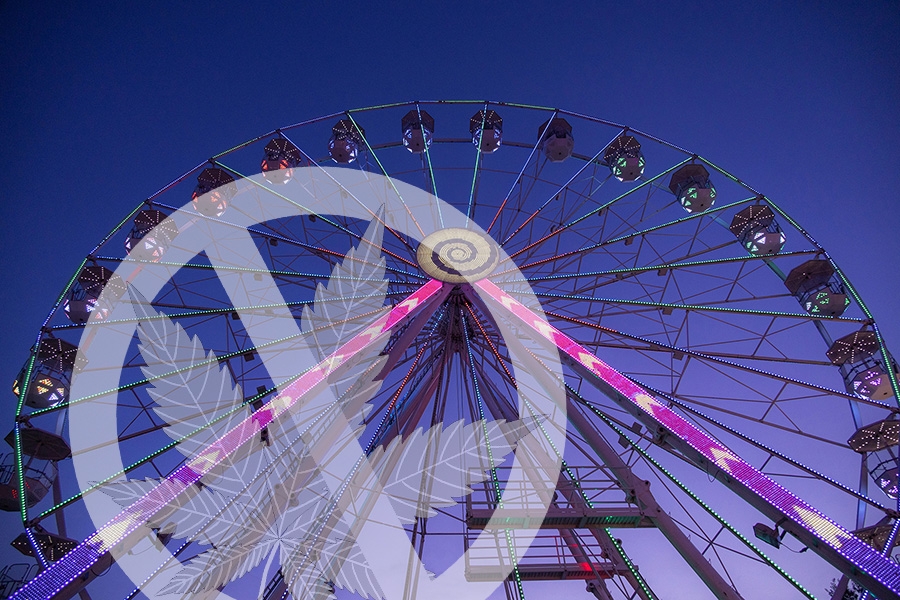 Cannabisverbotsgrafik vor einem Riesenrad